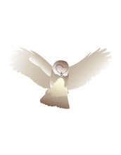 Load image into Gallery viewer, Barn Owl Hook Up