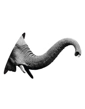 Load image into Gallery viewer, Elephant Hook Up
