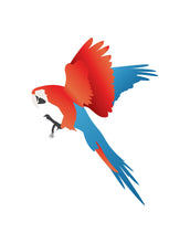 Load image into Gallery viewer, Parrot Hook Up
