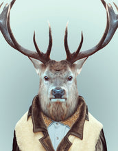 Load image into Gallery viewer, Zoo Portraits: Deer
