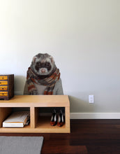 Load image into Gallery viewer, Zoo Portraits: Ferret
