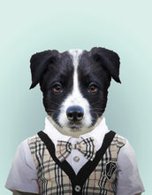 Load image into Gallery viewer, Zoo Portraits: Border Collie Pup
