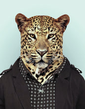 Load image into Gallery viewer, Zoo Portraits: African Leopard
