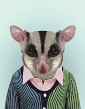 Load image into Gallery viewer, Zoo Portraits: Sugar Glider
